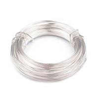 Jewelery wire 1 mm 10 m Silver