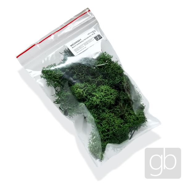 Icelandic floristic moss 10 g