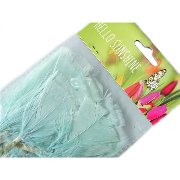 Decorative feathers Green menthol (48 pcs / 10 cm)