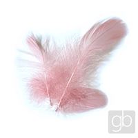 Decorative feathers Pink (5 - 15 cm)